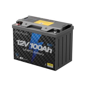 EcoFlow Batería de Litio 12V 100Ah para Motor Eléctrico
