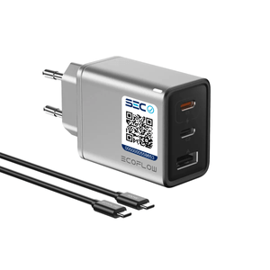 EcoFlow Cargador GaN Rapid de 65 W con Cable de 100 W