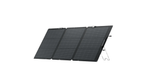 delta-3-1024wh---panel-solar-160w